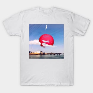 Surreal Collage La Conner T-Shirt